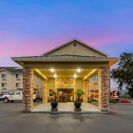 Comfort Inn & Suites Redwood Country Fortuna Exterior foto